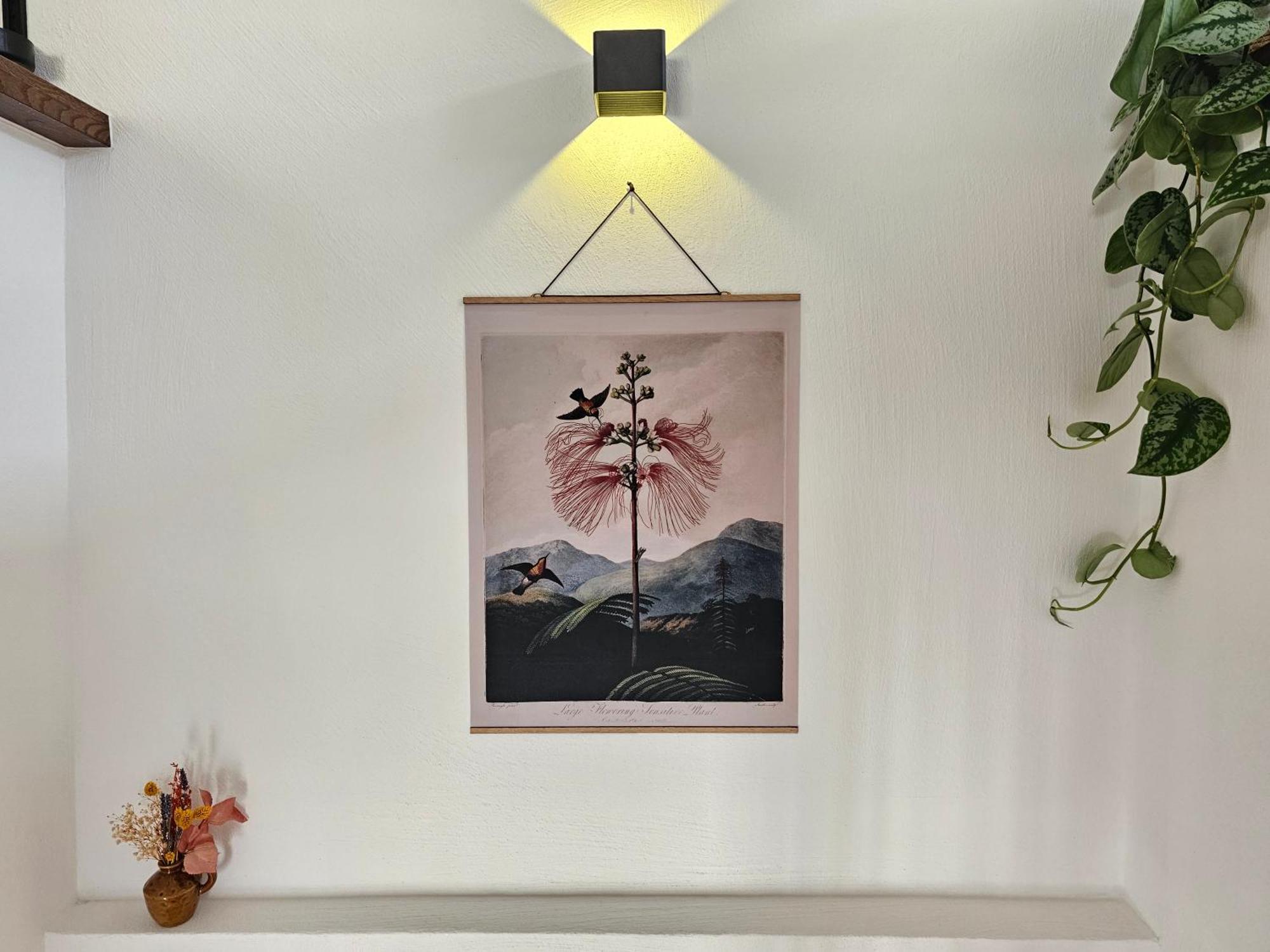 Kolibri - Design Maisonette - Nintendo Switch, Streaming, Bikestore, E-Wallbox Marburg Ngoại thất bức ảnh